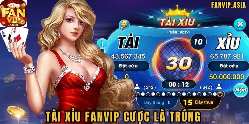 Giới thiệu về Tài Xỉu FanVip