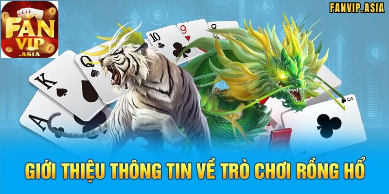 Thông tin Rồng Hổ FanVip là gì?