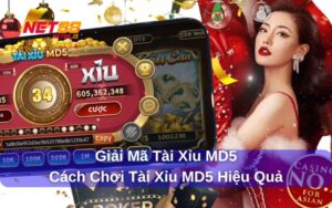 Xem Kết Quả Và Xác Minh