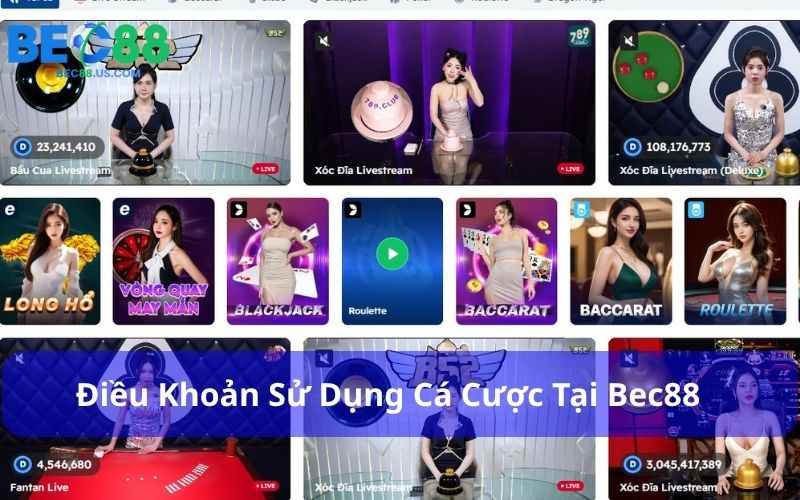 Đọc kỹ điều khoản trước khi chơi