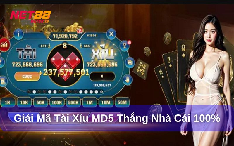 MD5 Là Gì Và Có Thể Giả Mạo Không